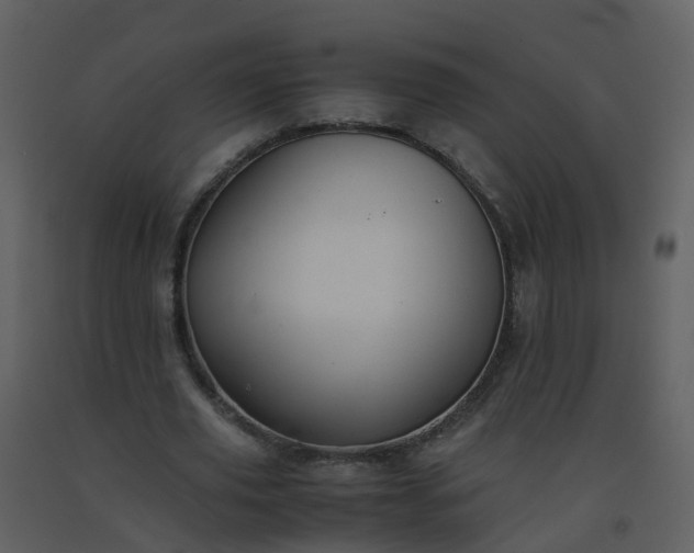 X0000093590629200710221524