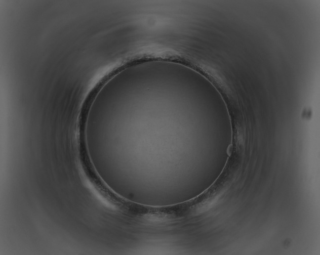 X0000093590630200710221524