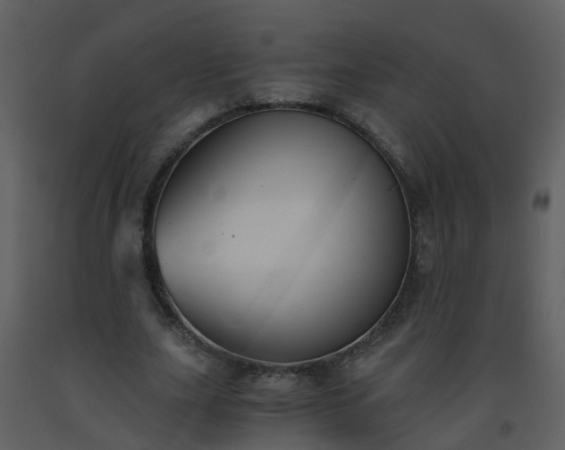 X0000093590631200710221524