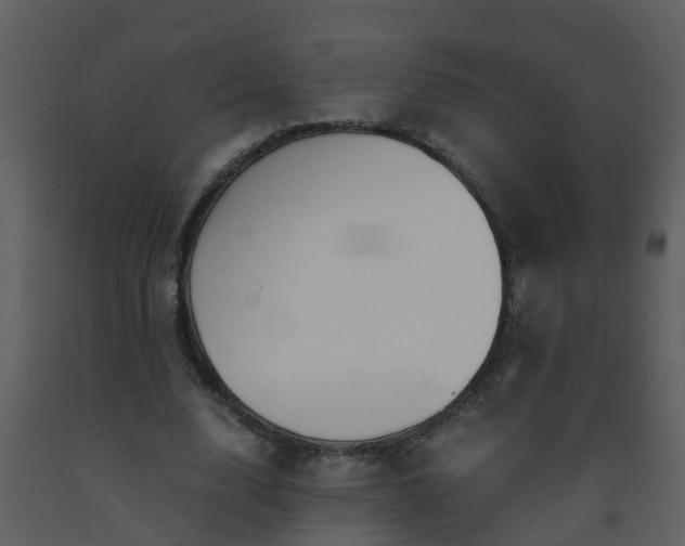 X0000093590632200710221524