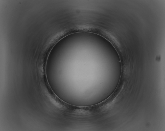 X0000093590633200710221524