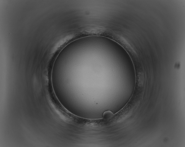 X0000093590634200710221524
