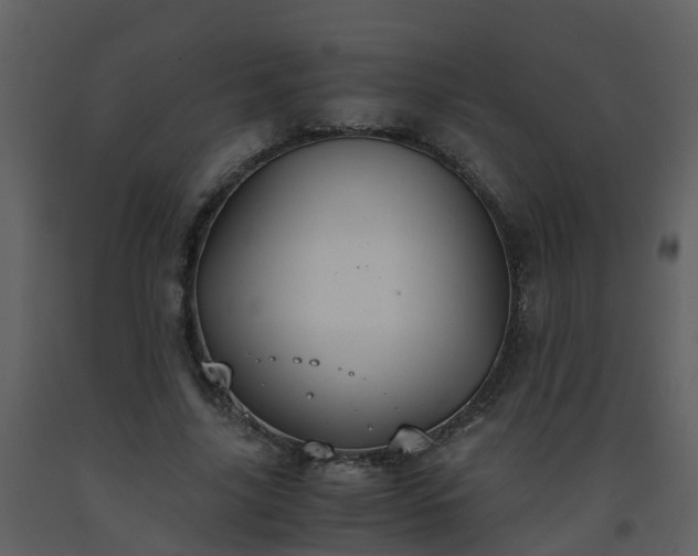 X0000093590635200710221524