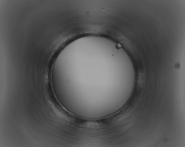 X0000093590636200710221524