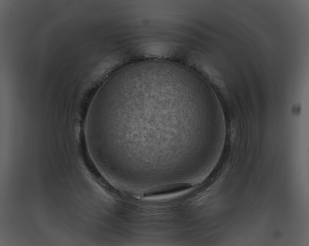 X0000093590637200710221524