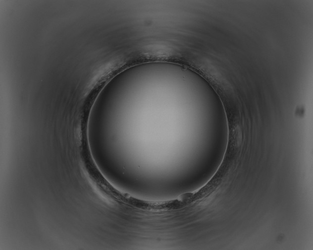 X0000093590638200710221524