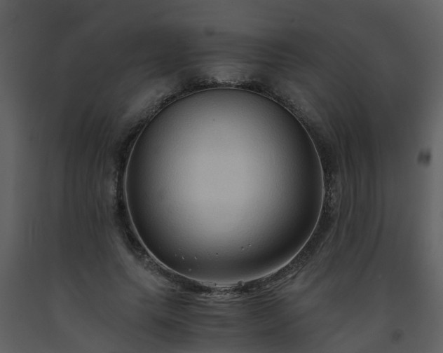 X0000093590639200710221524