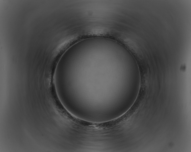 X0000093590640200710221524