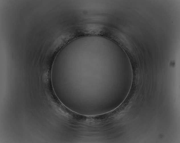 X0000093590641200710221524