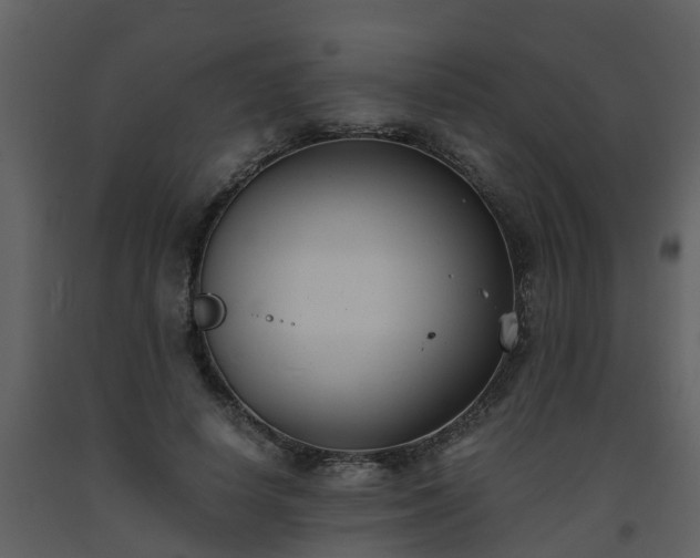 X0000093590642200710221524