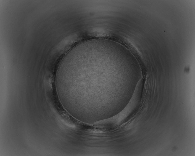 X0000093590643200710221524