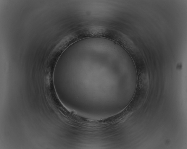 X0000093590644200710221524