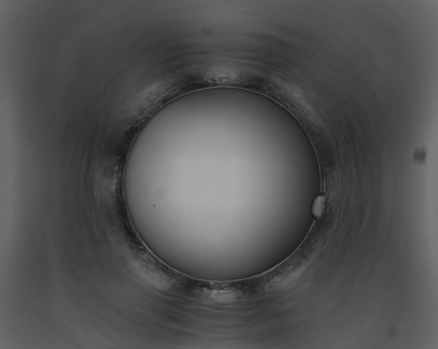 X0000093590645200710221524
