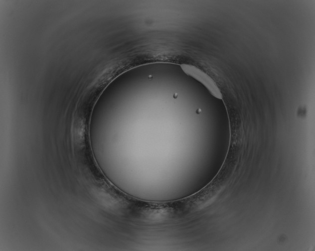 X0000093590646200710221524