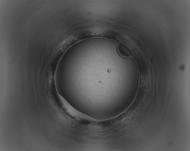 X0000093590648200710221524