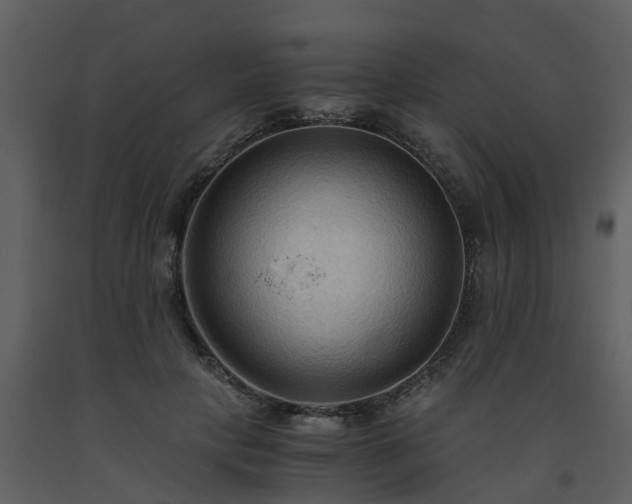X0000093590649200710221524