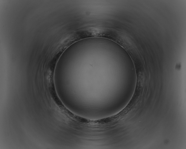 X0000093590650200710221524