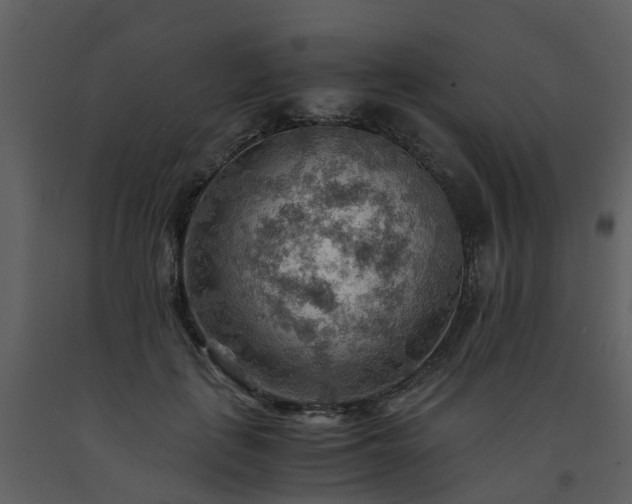 X0000093590651200710221524