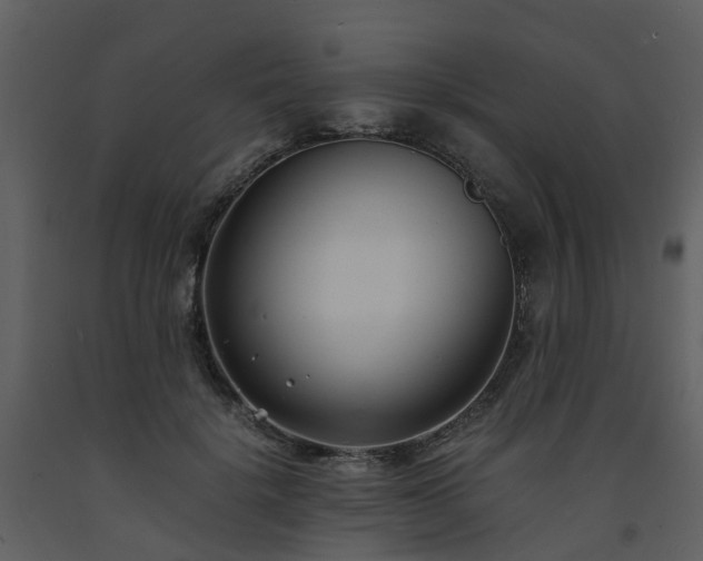 X0000093590652200710221524