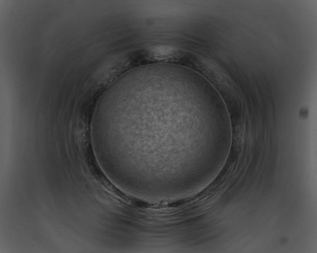 X0000093590653200710221524