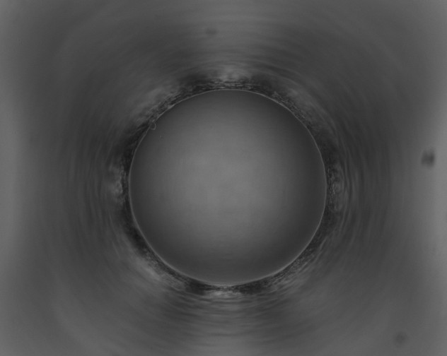 X0000093590654200710221524