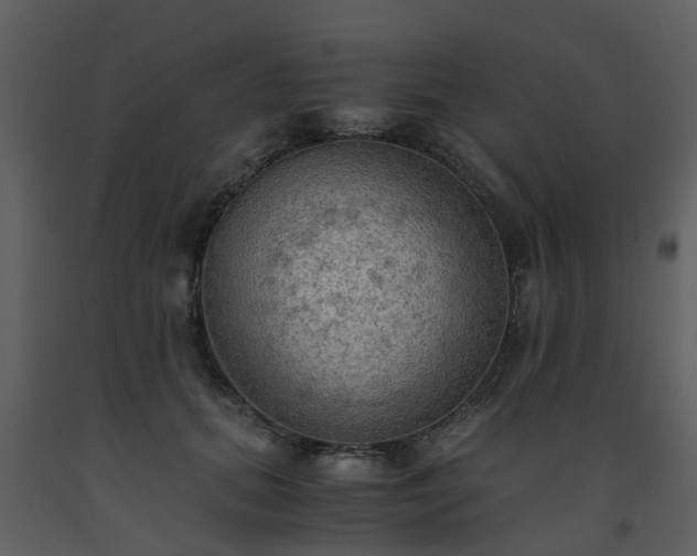 X0000093590655200710221524
