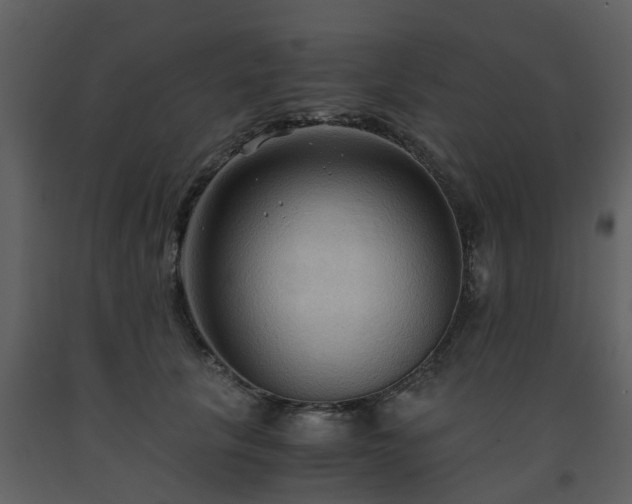 X0000093590657200710221524