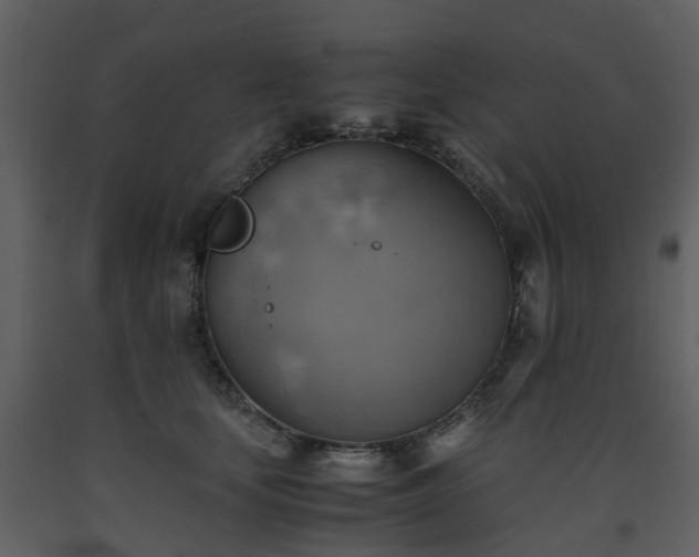 X0000093590659200710221524