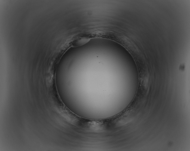 X0000093590660200710221524