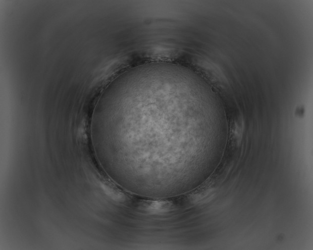 X0000093590663200710221524