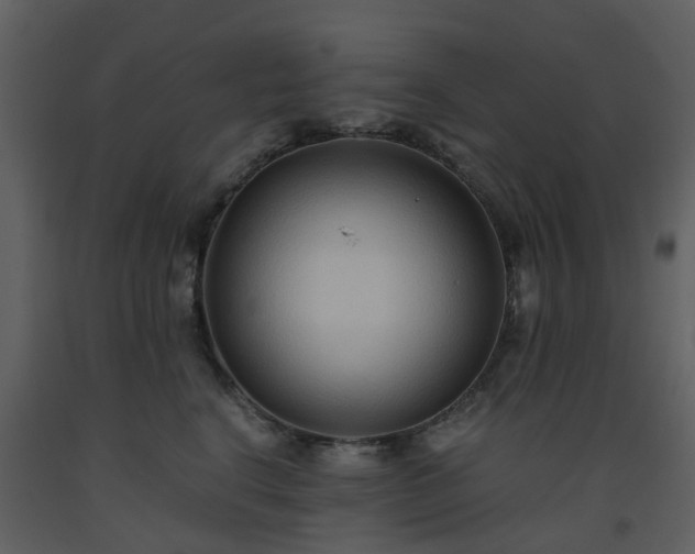 X0000093590664200710221524