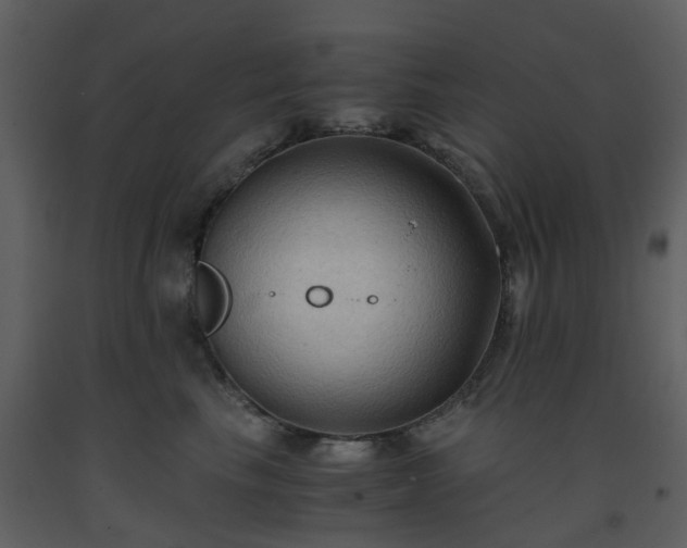 X0000093590665200710221524