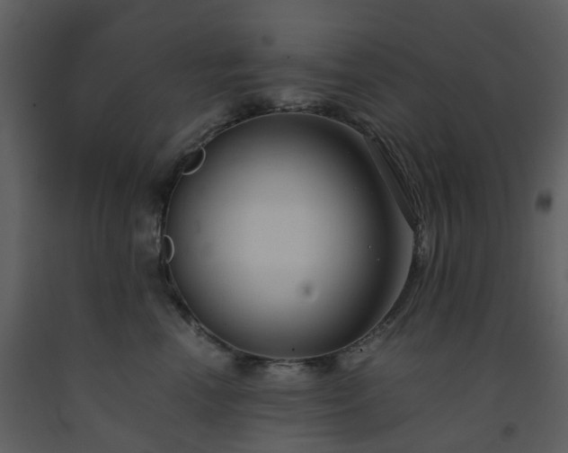 X0000093590666200710221524
