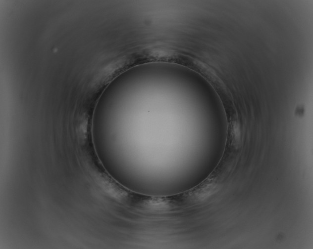X0000093590668200710221524