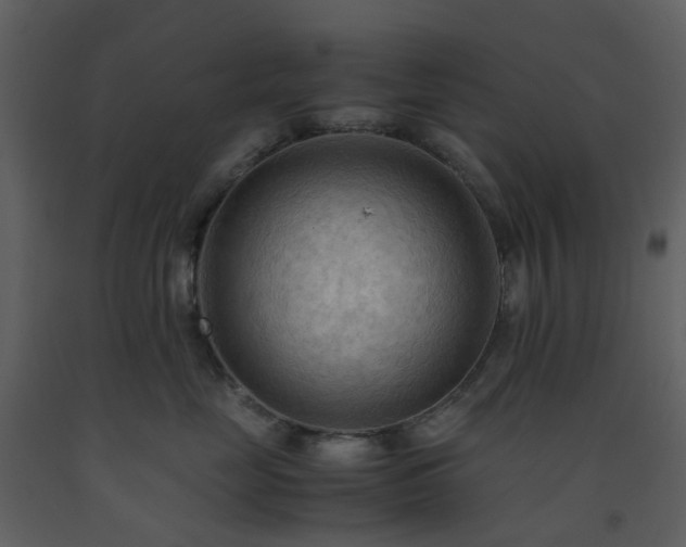 X0000093590669200710221524
