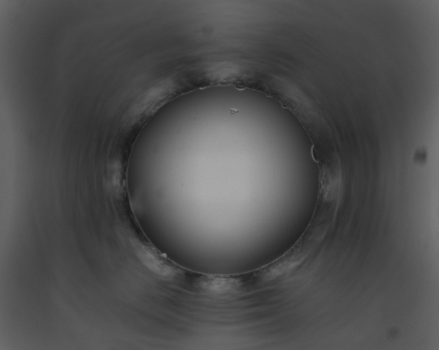 X0000093590670200710221524