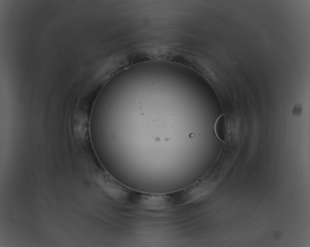X0000093590671200710221524