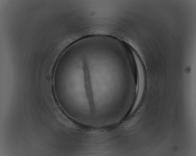 X0000093590673200710221524