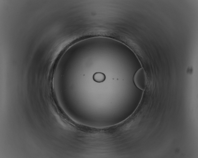 X0000093590674200710221524