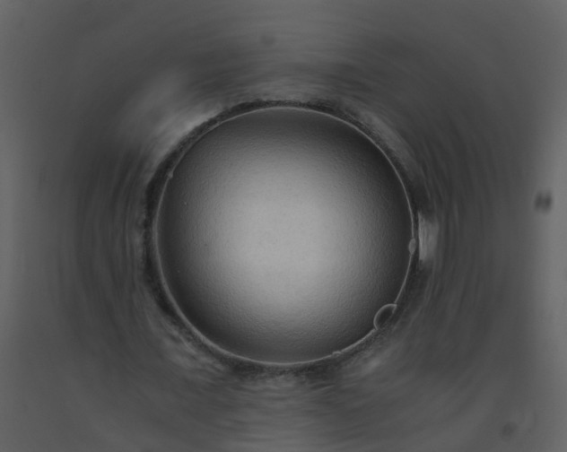 X0000093590675200710221524