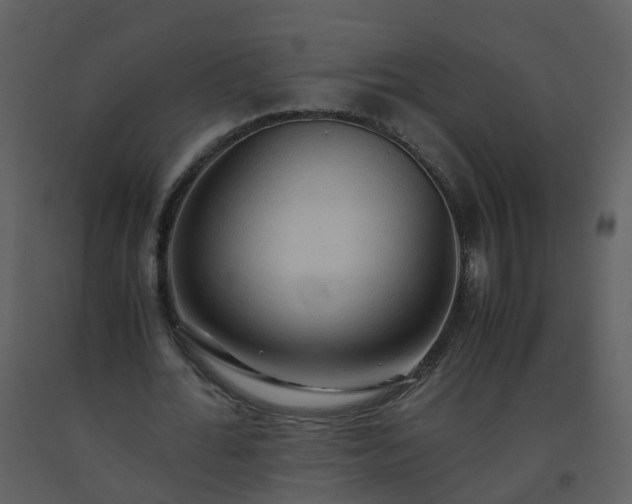 X0000093590676200710221524