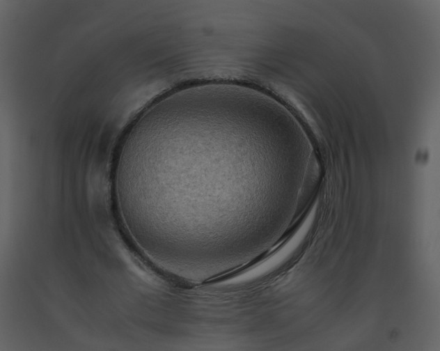 X0000093590677200710221524