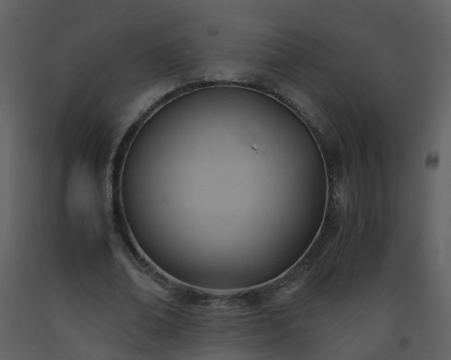 X0000093590678200710221524
