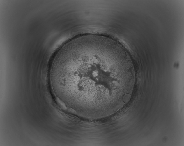 X0000093590679200710221524