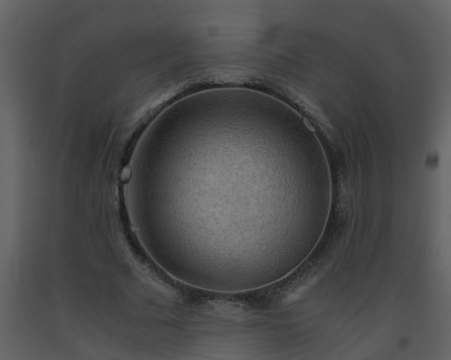 X0000093590681200710221524