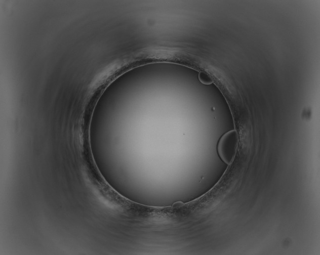 X0000093590682200710221524
