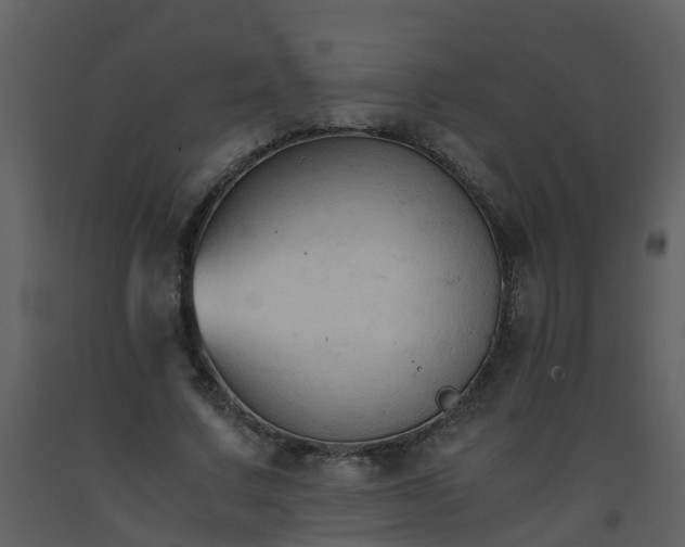 X0000093590683200710221524