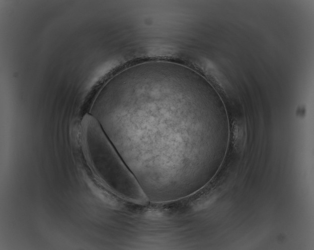 X0000093590684200710221524