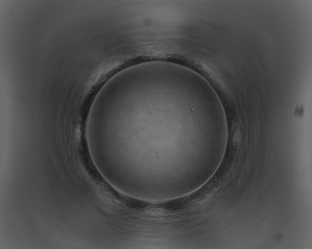 X0000093590685200710221524