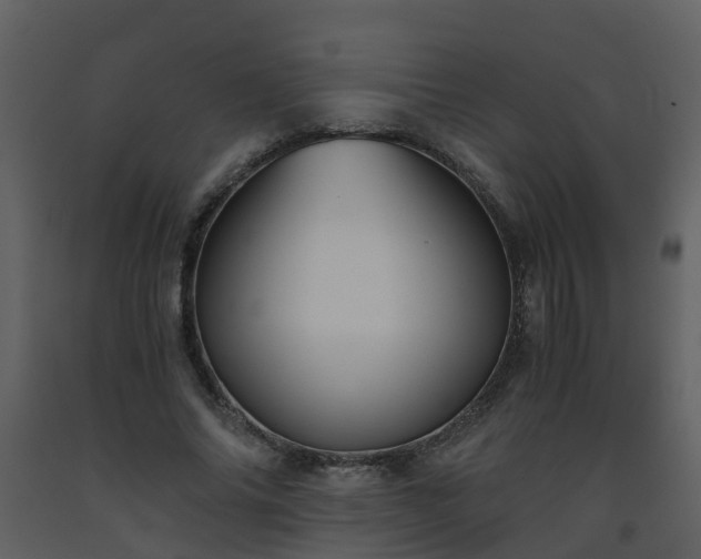 X0000093590686200710221524